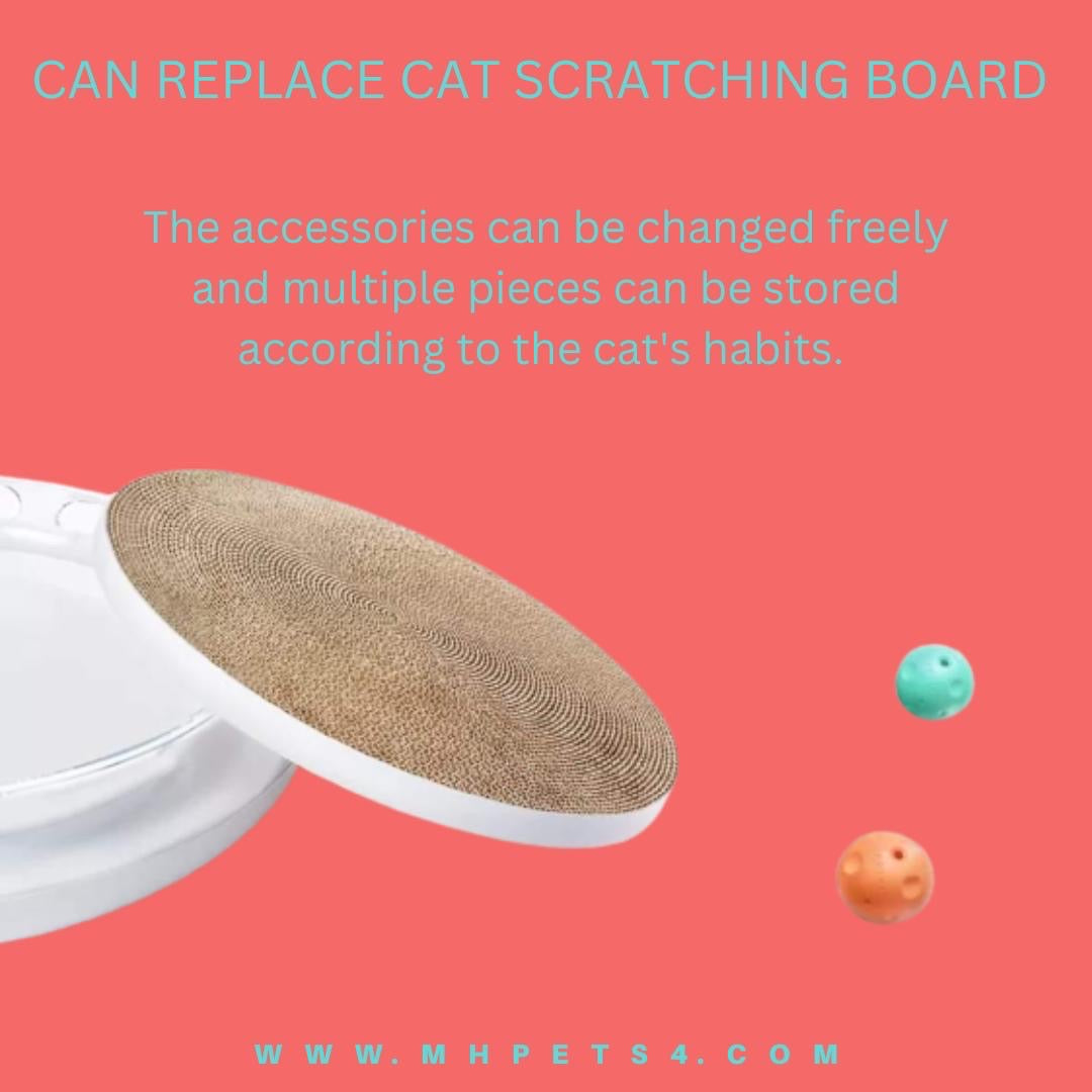 Cat Scratcher toy