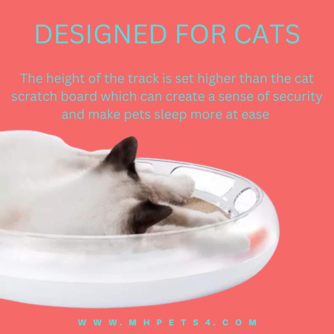 Cat Scratcher toy
