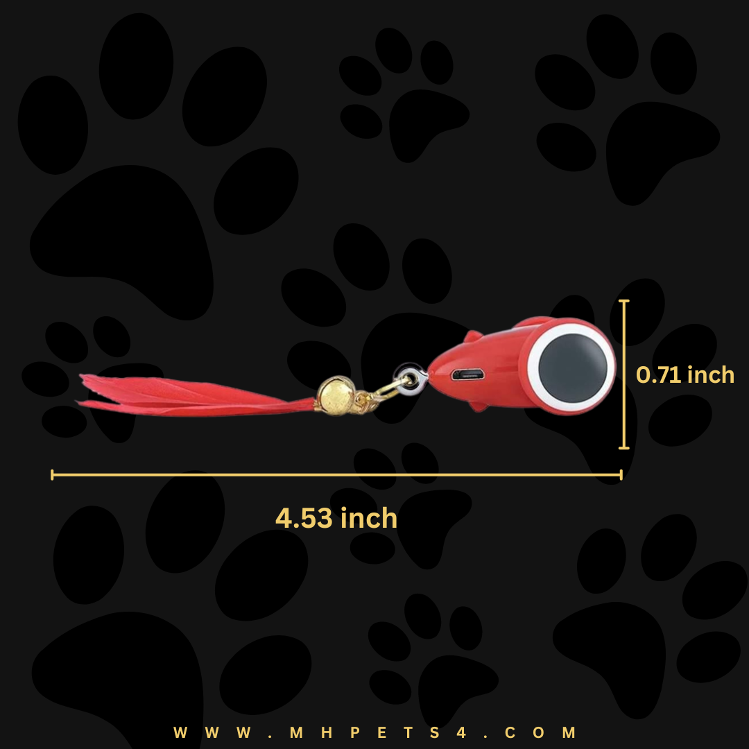 KiTiFISH TOY (MayMaw)