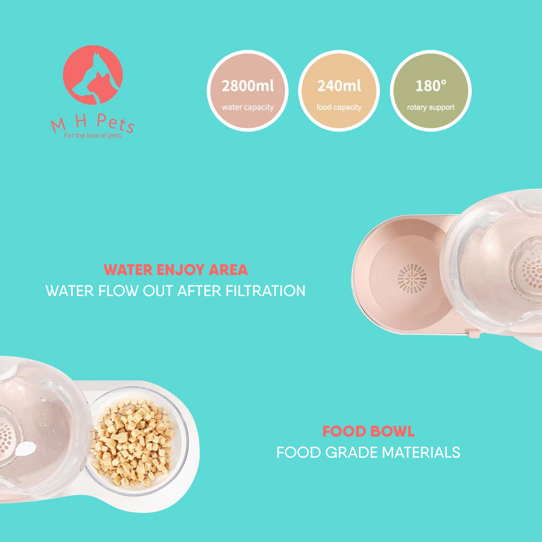 Snail Shaped Water Feeder with Bowl