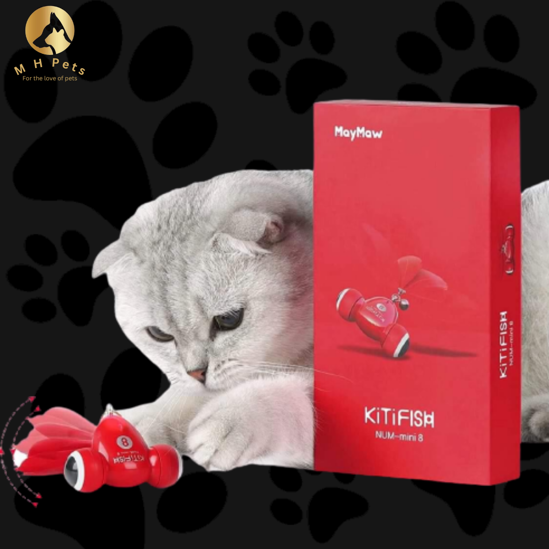 KiTiFISH TOY (MayMaw)