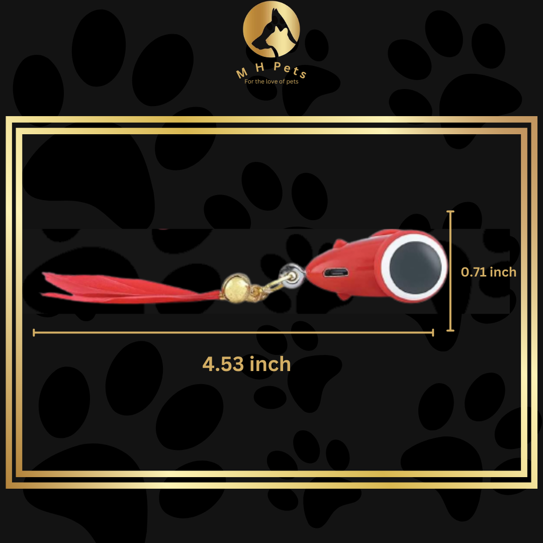 KiTiFISH TOY (MayMaw)