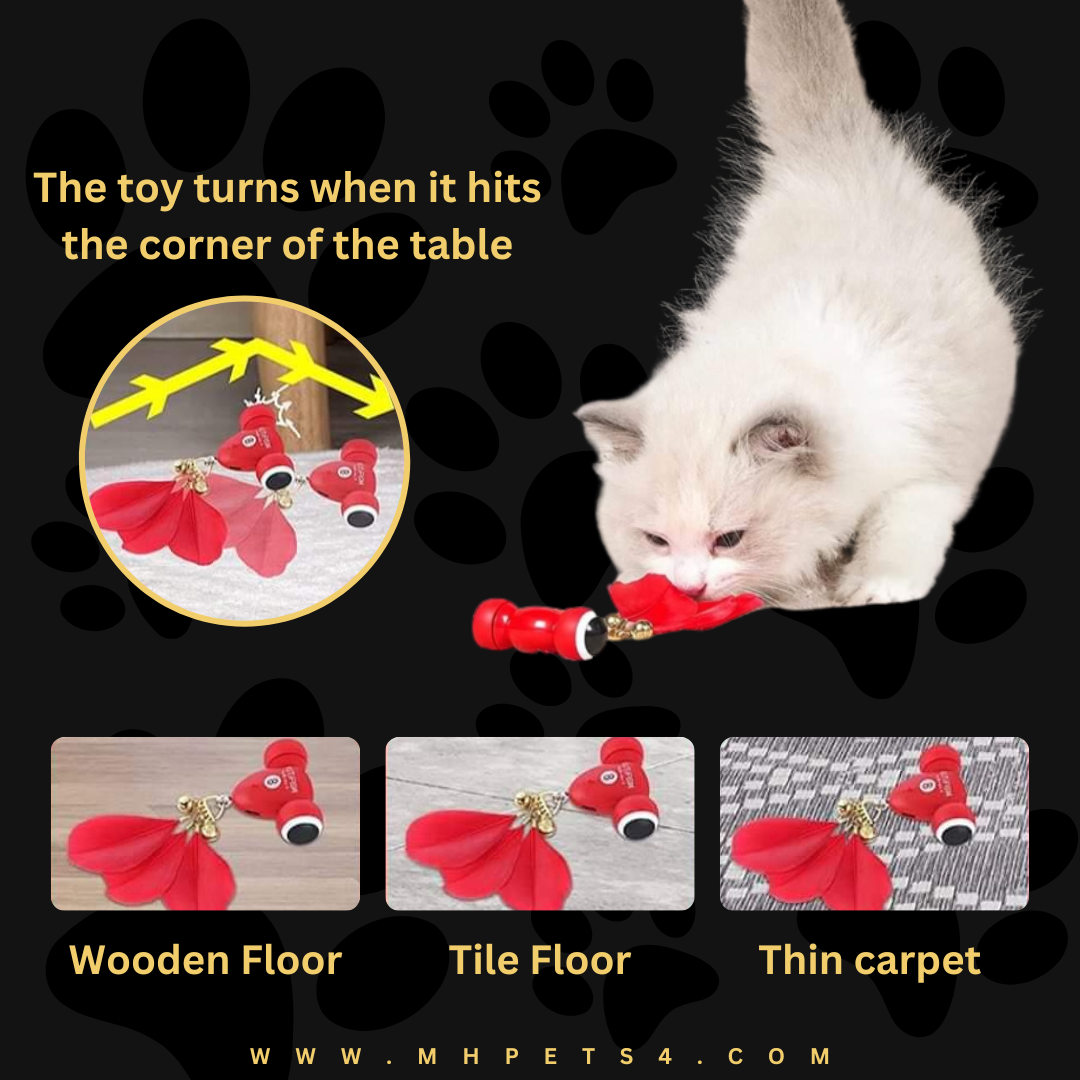 KiTiFISH TOY (MayMaw)